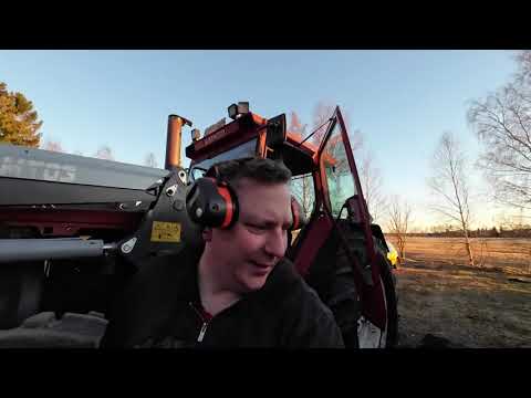 Somerahtarin kotipuuhat - Pesua ja pölinää