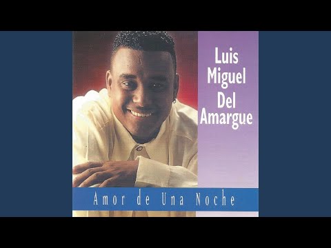 Amor de una Noche