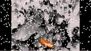 Static-X - Burn to Burn