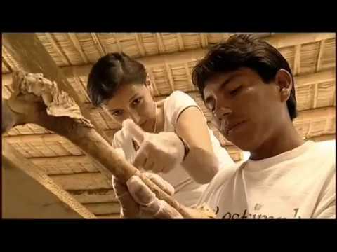 Dokumentarfilme Deutsch 2017 - Schliemanns Erben 14 Auf der Jagd nach dem Nasca Code