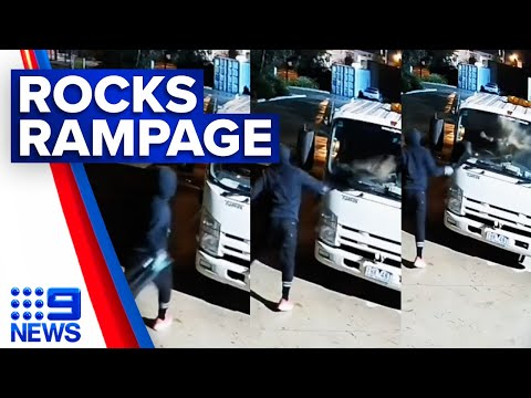 Masked men wanted after smashing rocks through business | 9 News Australia