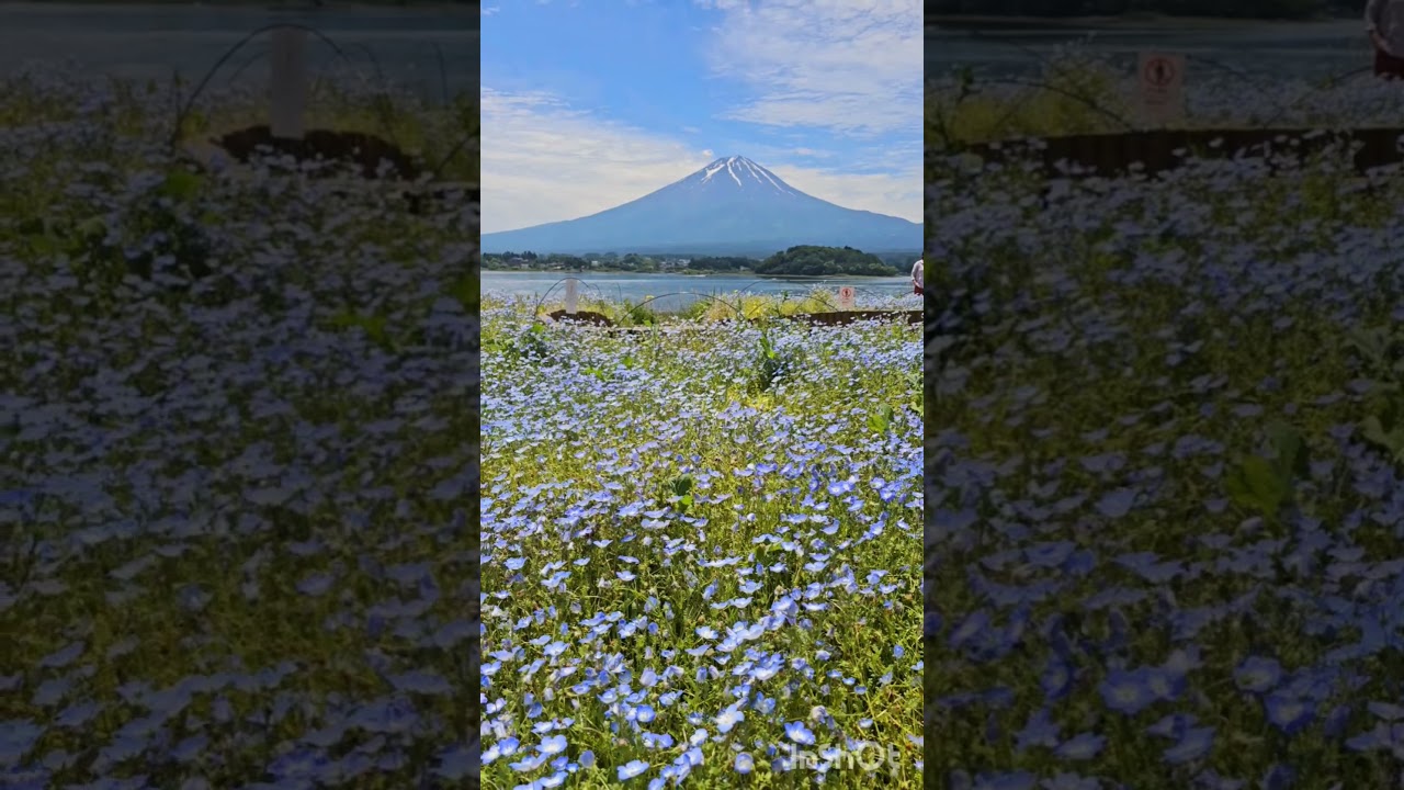 Mt Fuji Japan | Beauty Beast | #japanshorts #japantravel #fuji #memories