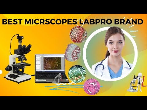 Binocular Research Microscope