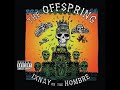 Cool To Hate lyrics - The Offspring