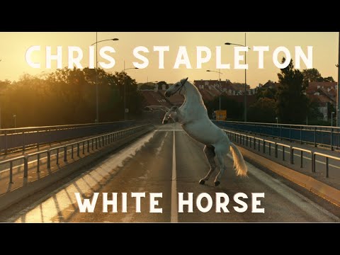 Chris Stapleton - White Horse (Unofficial Music Video)