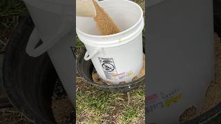 Cheap DIY chicken Feeder!