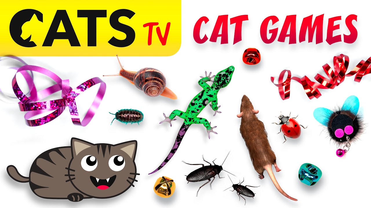 CAT GAMES 📺🪳 Ultimate CATS TV Compilation 20 in 1 🐭🙀🦎 4K 60 FPS [5 HOURS]