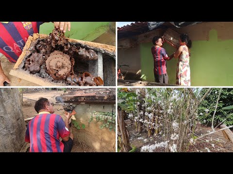 The swarm of vultures wanted to leave.