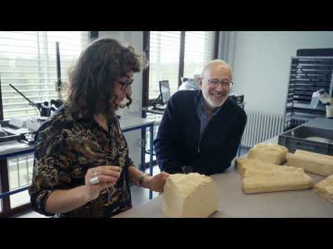 Die Odyssee der Zahlen (1/3): Wie alles begann (2024)