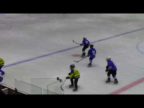 HC Dynamo Tallinn   PSK