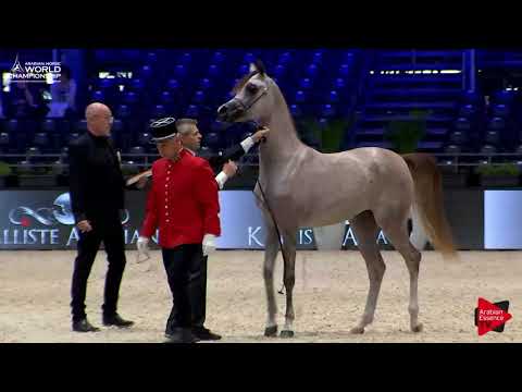 N.2 OM EL ERODITE - Paris 2017 - Yearling Fillies (Class CM1A)