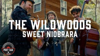 The Wildwoods session thumbnail