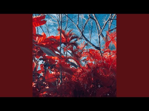 Running These Streets (feat. Danny O, Destiny Ivana & Prince Jefe)