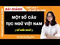 Một số câu tục ngữ Việt Nam Ngữ văn lớp 7 Kết nối tri thức