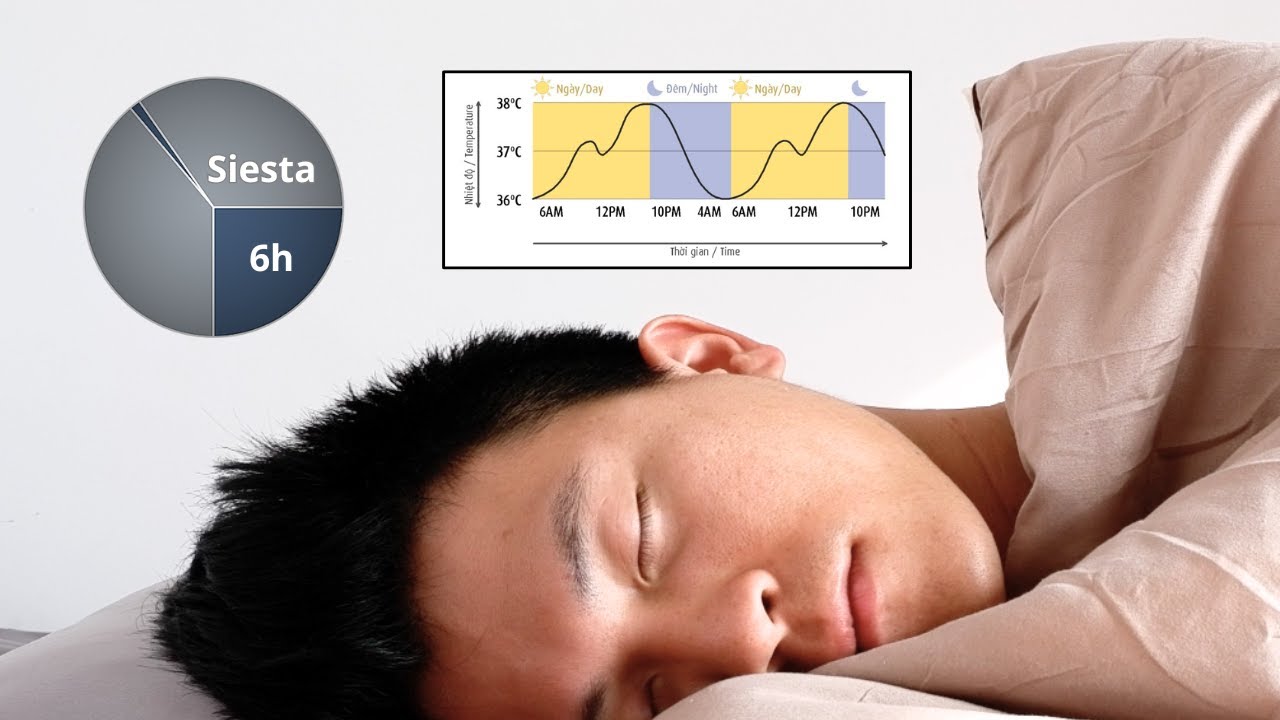 Ngủ ÍT được NHIỀU 💤 (khoa học MỚI)
