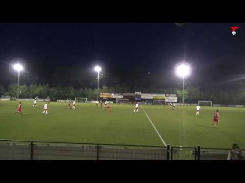 s.v. Valleivogels - SDV Barneveld