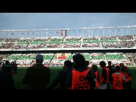 Aromas ilicitanos ElcheCF-Barça