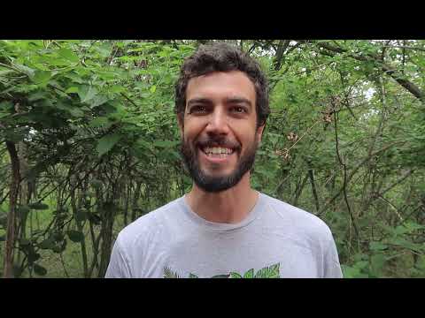 3 Day Old Tiny Orphan Baby Monkey Rescued & Update On Brain Damaged Baby - Vervet Forest -