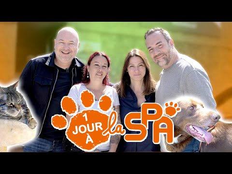 "VIS MA VIE" À LA SPA AVEC CAUET, STOUF ET JEFF
