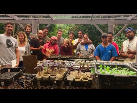 download lagu mp3 mp4 Potager En Milieu Tropical, download lagu Potager En Milieu Tropical gratis, unduh video klip Potager En Milieu Tropical