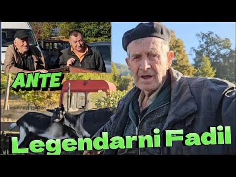 Fadilu NUDE PARE I ŽENU ZA KOZU..show na derneku Jajce 12.10.2023.g