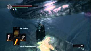 [Dark Souls] How To Beat The Hydra (Darkroot Basin)
