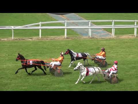 2021-06-19 Frauenfeld Trab Kat. B