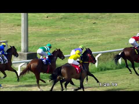 211212 c06 Potri Flash/ PULPO OLLERO