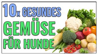 Gemüse für deinen Hund- giftig oder gesund - TGH 344