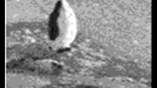 WIZO - K.I.K. III (keiner ist kleiner 3)