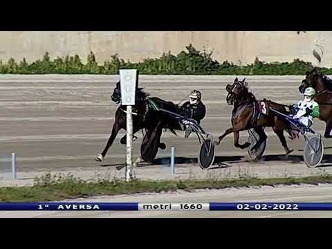 Aversa trotto 2 Febbraio 2022 - 1° Corsa