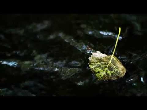 Kahlil Gibran - The Prophet on Beauty