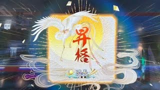 【英傑大戦】チーム『天下無双』ケチャップ神君主 団長昇格戦 4枚恋姫†演武曹操vs旗陣形バラ【アーカイブ】