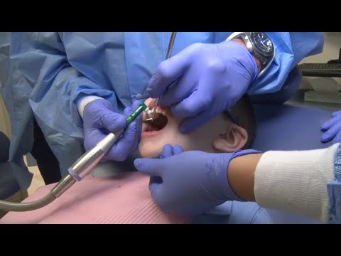 Bloomfield nonprofit provides oral care for thousands of NJ children | Video | NJ Spotlight News