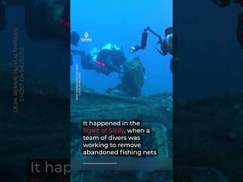 New video of great white shark in Mediterranean goes viral | AJ #shorts