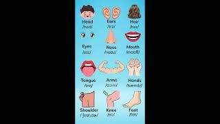 📚 Learn Body Parts in English 👀👂 | Vocabulary Lesson | Oh Vui Kids