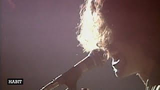 Eddie Vedder, Mike Watt and Dave Grohl - Habit