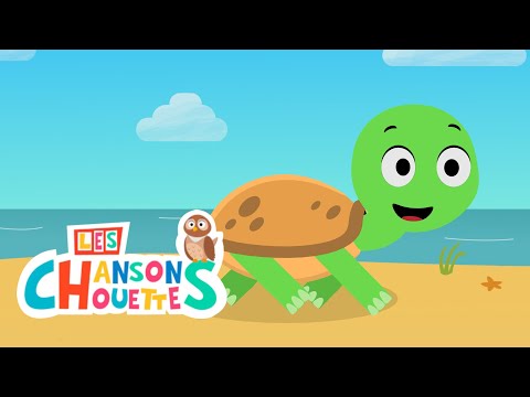 Toc toc toc tortue - Les chansons chouettes