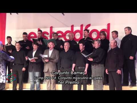 2015 Comp. 74 Primer premio - Conjunto Camwy