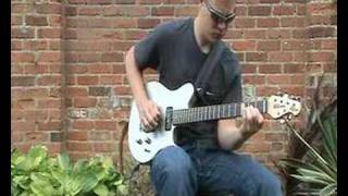 Lenny Breau's 'I'll See You In My Dreams' Played By Steve Laney