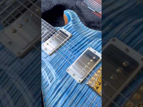 2025 PRS DGT Dave Grissom Signature 10 Top Birds - Faded Blue Jean image 21