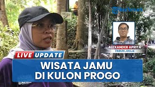 Taman Jamu Naturindo, Piknik Sehat Nikmati Spa Tradisonal bareng Keluarga di Kulon Progo