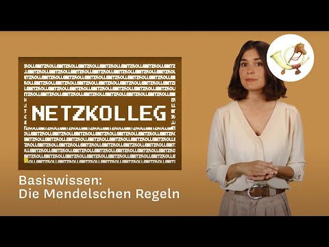 Netzkolleg Basiswissen: Die Mendelschen Regeln (Grundlagen der Biologie)