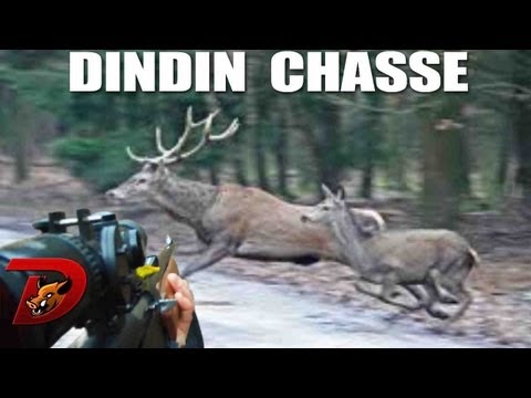 comment participer a une chasse a courre