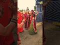 New Shekhawati Sikar Wedding Dance Program Video New Shekhawati Jaatni Dhamakedar Dance Video
