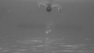 Download lagu Depakote mp3