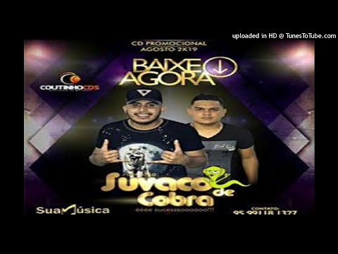 FORROZAO SUVACO DE COBRA 2019