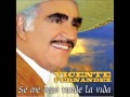 Vicente Fernández - Lo Que Me Toca