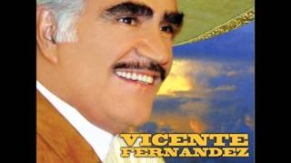 Vicente Fernández - Lo Que Me Toca