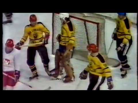 KHK Crvena zvezda -  HK Cinkarna Celje 02.02.1982 (2:2)